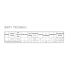 TERMOCAMINO "INSERTO" A LEGNA