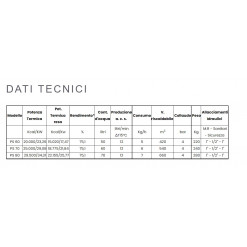 TERMOCAMINO MODELLO "PS" A LEGNA CON OPTIONAL ACQUA CALDA SANITARIA