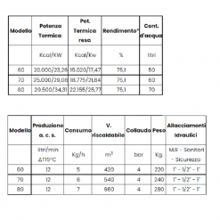 TERMOCAMINO MODELLO "PS" A LEGNA CON FORNO