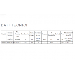 TERMOCAMINO MODELLO "PSU 16:9" A LEGNA