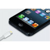 CAVO IPHONE-P8 120CM 30W LD-9147